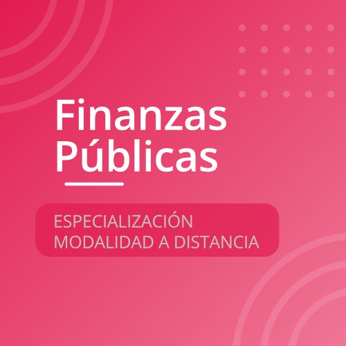 20262 Seminario Inducción Sede Principal FPDII1